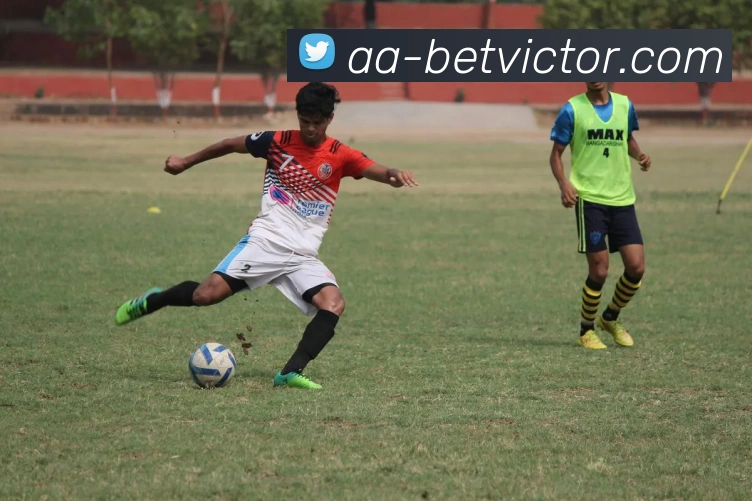 伟德体育官网APP 封面图